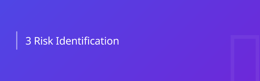 3. Risk Identification